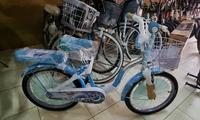 Gambar Sepeda Anak Perempuan 20 Inch Element Frozen 8 Tahun - Dewasa dari TrigunaBikestore undefined 1 Tokopedia