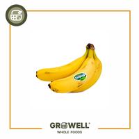 Gambar PISANG CAVENDISH 1 KG dari growellgrocer undefined 1 Tokopedia