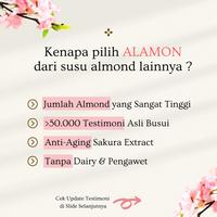 Gambar Susu Almond Konsentrasi Tinggi / Rasa BANANA / 5x Minum/ Alamon Milk - M.BANANA dari alamonmilk undefined 3 Tokopedia