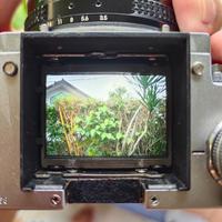 Gambar Kamera Analog Nikon F2 Body + Lensa dari ilhamganteng undefined 5 Tokopedia
