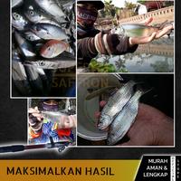 Gambar Joran Pancing Murah Fiber Solid Lentur Alat Mancing Ikan Laut dari Welite Outdoor Official undefined 3 Tokopedia