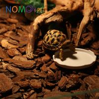 Gambar Feeding Dish Reptile Tempat Makanan Tortoise Sulata Nomoy NW-01 NW-02 - NW02S 81.5x60 dari Mulia Jaya Tortuga undefined 4 Tokopedia