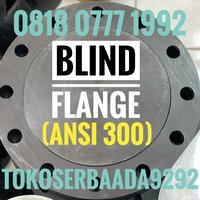 Gambar Blind Flange / Flange Buta 2" inch 300 ULMA ; CS ; besi dari tokoserbaada9292 undefined 1 Tokopedia