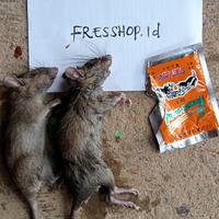Gambar RACUN TIKUS MAOWANG (isi butiran beras) dari FShopday undefined 3 Tokopedia