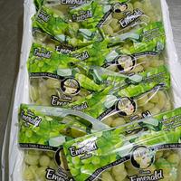 Gambar Anggur Ijo Shine Muscat 1kg Anggur Jumbo Seedless Grapes - 1/2 kg dari WarungSedepan undefined 1 Tokopedia