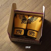 Gambar Fairtex BGV1 Falcon Boxing Gloves Muaythai - 12 dari KICX MMA SHOP undefined 1 Tokopedia