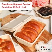 Gambar 750ml Square Bagasse Ecofriendly Packaging Kue Roti Tahan Panas Oven dari Ecoplease Home Compostable undefined 1 Tokopedia