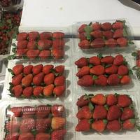 Gambar buah strawberry bandung 1 pack dari Dunia sayur undefined 3 Tokopedia