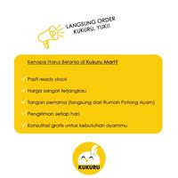 Gambar AYAM PEJANTAN / AYAM JAWA - UKURAN SEDANG/MEDIUM 0,8-1,0KG dari KUKURU MART undefined 2 Tokopedia