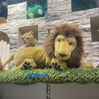 Gambar Boneka Singa / Lion / Lion King Jumbo Besar Empuk Soft Plush Toy dari TOKUNIQU undefined 2 Tokopedia