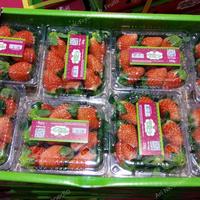 Gambar Strawberry Korea Premium 1box dari Ari NK Freshfruits undefined 5 Tokopedia