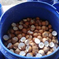 Gambar Pupuk Cangkang Telur Organik Terbaik Untuk Tanaman Tinggi Kalsium 1KG dari Krotopedia ID undefined 5 Tokopedia