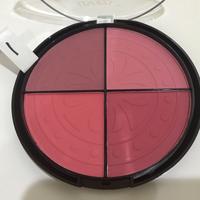 Gambar USHAS Matte Blush 28g E2263 - Palette no.2 dari BetaOnTheGO undefined 2 Tokopedia