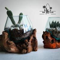 Gambar AKUARIUM IKAN CUPANG 12 CM / KACA TIUP AKAR BALI / AQUARIUM UNIK KAYU - AQUARIUM 12 CM dari Bali Art Craft undefined 1 Tokopedia