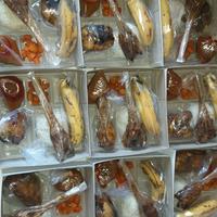 Gambar PROMO !! Paket B " Nasi Box Murah " Size 20 x 20 Cm dari Nagatawa Ornamental Fish undefined 1 Tokopedia