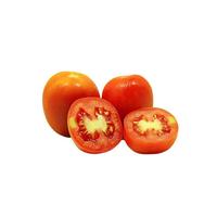 Gambar Benih / Biji Tomat Sayur Permata Repack - Berkualitas - 10 Seeds dari Adana Nursery undefined 3 Tokopedia