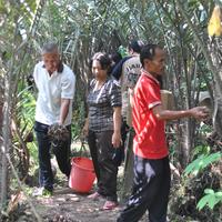 Gambar BUAH SALAK PONDOH ASLI TURI YOGYAKARTA LANGSUNG PETIK DARI KEBUN SALAK dari Bima CCTV undefined 5 Tokopedia