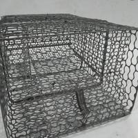 Gambar kotak jaring Jebakan Perangkap kandang Tikus masal Mouse Trap tebal dari midoLand undefined 4 Tokopedia