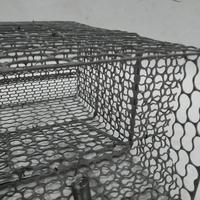 Gambar kotak jaring Jebakan Perangkap kandang Tikus masal Mouse Trap tebal dari midoLand undefined 5 Tokopedia