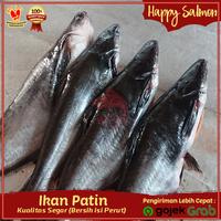 Gambar Ikan Patin Segar 1kg (bersih isi perut) - Ikan Harian Segar Ikan Patin dari Happy Salmon jakarta undefined 2 Tokopedia