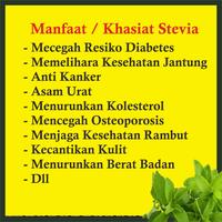 Gambar Stevia pemanis gula cair rendah kalori cocok diet & cegah diabet dari warung kiwari undefined 4 Tokopedia