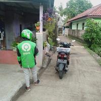 Gambar Kelinci Rex bulu karpet anakan betina (6). dari Berkah Rabbit Wonk undefined 2 Tokopedia