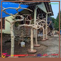 Gambar TANGKRINGAN HEWAN - PANGKRINGAN TANGKRINGAN BURUNG IGUANA DAN REPTIL dari rumahsunda- undefined 2 Tokopedia