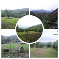 Gambar Villa + Tanah 1 Hektar (12483m2) Best View Gunung Salak Bogor, Cijeruk dari Shop At Naya undefined 1 Tokopedia