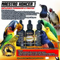 Gambar Maestro KONCER 1 | Suplemen Penggacor dan Fighter Burung dari Maestro Bird undefined 1 Tokopedia