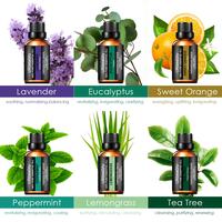 Gambar URPOWER Classical Essential Oil Diffuser with 6 Bottles 100% Pure Esse dari PATRA ID undefined 3 Tokopedia