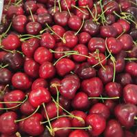 Gambar Buah Cherry Red Cherry Merah Fresh Import / 1 Pack 300 Gram dari PartnerBuah undefined 1 Tokopedia