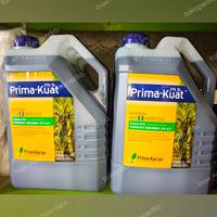Gambar Herbisida Kontak Prima-Kuat 276SL Cepat Kering 5 Liter dari Depo Agro undefined 3 Tokopedia