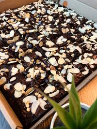 Gambar Fudgy Brownies 30x30 dari ebeeraakitchen undefined 2 Tokopedia
