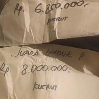 Gambar oplosan essen ikan mas jitu galapung lomba aroma eggvanila condenced dari kucrut fishing team undefined 4 Tokopedia