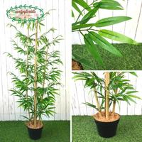 Gambar Pohon Daun Bambu Hijau Kuning Latex Artificial Pot Dasar Plastik Unik - Bambu Kuning dari Evelyn Florista undefined 5 Tokopedia