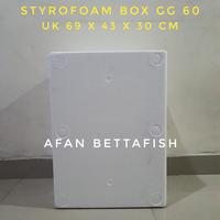Gambar Styrofoam Box GG 60 Ukuran 59 x 43 x 30 cm / Stereboam Box GG60 dari AFAN AQUARIUM undefined 4 Tokopedia