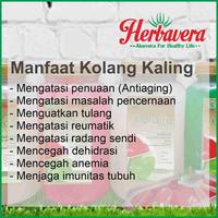 Gambar Manisan Kolang Kaling Toples - Leci dari Jualan-OnlineShop undefined 1 Tokopedia