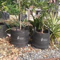 Gambar Planter Bag Ukuran 100 Liter/Planterbag Hitam/Tabulampot Tanaman Buah dari TictacMilitary undefined 5 Tokopedia