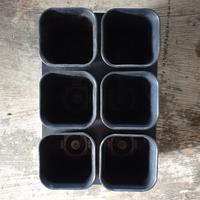 Gambar TRAY POT NKT KOTAK 7 / TRYPOT NKT KOTAK 7 ( DENGAN POT KOTAK 7 6 BH) dari SHOSAZ FARM STORE undefined 1 Tokopedia