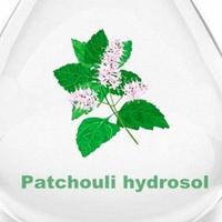 Gambar Patchouli Hydrosol 50ml/Cosmetic Grade dari Syah-House undefined 1 Tokopedia