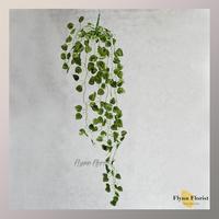 Gambar Rambatan Tangkai X9 (satuan) Bunga Artificial / Bunga Plastik Dekorasi - Anggur dari flynnflorist undefined 2 Tokopedia
