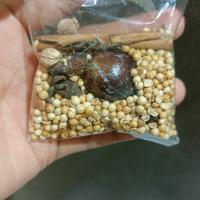 Gambar Bumbu Sup - Bumbu Gulai Ayam - Randang - Bumbu Asli Minang - Padang dari Arniati Piliang undefined 5 Tokopedia