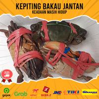 Gambar Kepiting Bakau Jantan-Kepiting Bakau Hidup-Kepiting Jantan 1KG Isi 2-3 dari Seafood Nusantara id undefined 2 Tokopedia