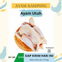 Gambar Ayam Kampung Bandung berat sampai 800 gr. Selalu Fresh & pasti Halal - utuh, 760-850gram dari Jual Ayam Kampung Segar undefined 1 Tokopedia