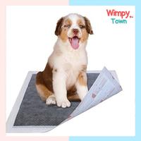 Gambar Alas Kencing Anjing Carbon Pet Underpad Pee Pad Toilet Pet Sheet - Reguler (Blue), 45 * 35 cm dari Wimpy Town undefined 1 Tokopedia