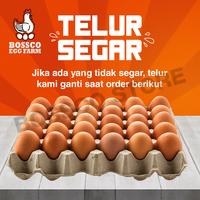 Gambar Telur Ayam Negeri Segar Grade A 30 butir ( 1tray ) telor ayam premium - 8 Tray dari Seven Plus Indonesia undefined 1 Tokopedia