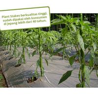 Gambar Ajir / Takiron Plant Stake 150 cm - penegak penyangga turus tanaman dari Hijau Nusa Tani undefined 3 Tokopedia