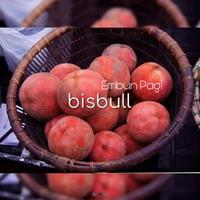 Gambar Bibit Buah Red Bisbul Langka dari EMBUN PAGI SLEMAN YOGYAKARTA undefined 3 Tokopedia