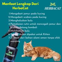 Gambar Obat Jamur Kucing Herbal Kitten HERBACAT Ringworm Scabies Tuntas dari vitamin dan obat kucing undefined 4 Tokopedia