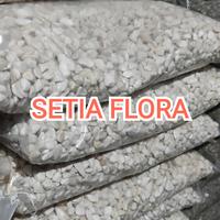 Gambar Batu Alam Hias Tanaman Taman /Putih Bali Karungan - Size 9-12 mm dari Setia Flora undefined 2 Tokopedia